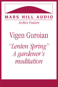A Lenten meditation on gardening